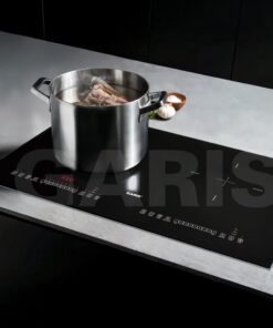 Bếp từ 2 vùng nấu màu titan cao cấp